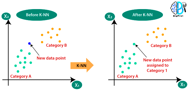 classification algorithms